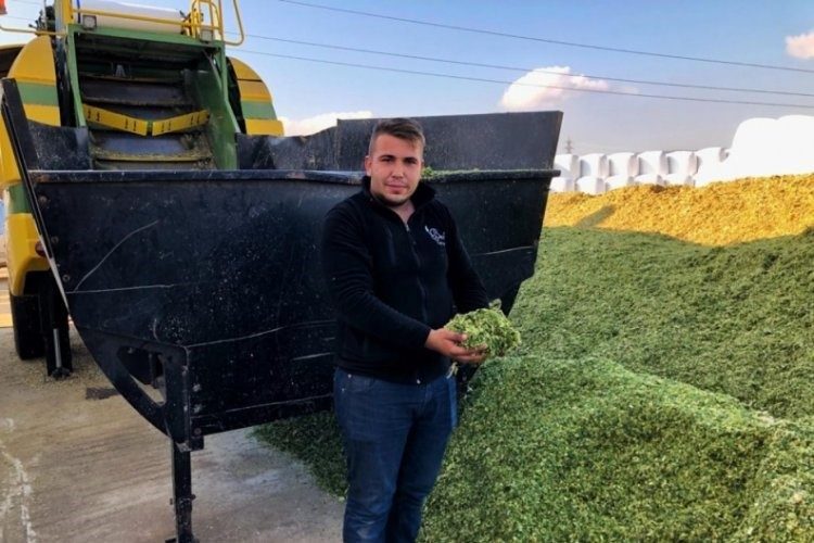 Süt ve et hayvancılığında yem fiyatları artarken, besiciler maliyetleri azaltmak