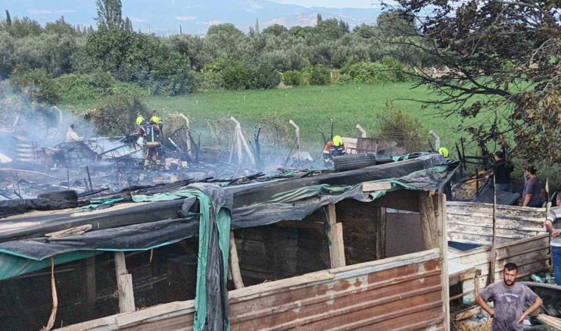 Burhaniye ilçesinde bir ahırın yanında çıkan katı atık yangını ahıra