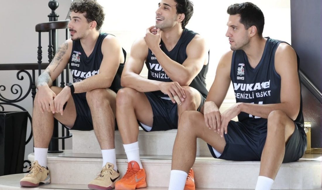 Y. Denizli Basket, Türkiye Sigorta Basketbol Süper Ligi ve kulüp