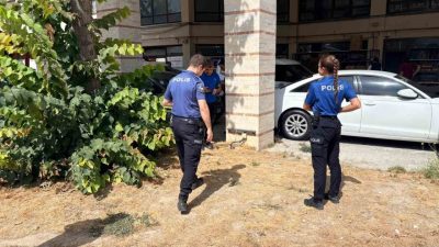 Kütahya’da esnaf tarafından beslenen bir kedi, bacakları kesilmiş ve telef
