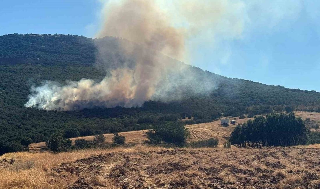 Eskişehir’in Mihalıççık ilçesine bağlı Yayla Mahallesi’nin yakınlarında başlayan orman yangınına