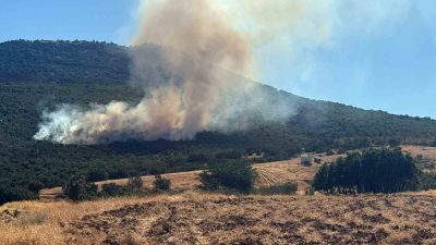 Eskişehir’in Mihalıççık ilçesine bağlı Yayla Mahallesi’nin yakınlarında başlayan orman yangınına