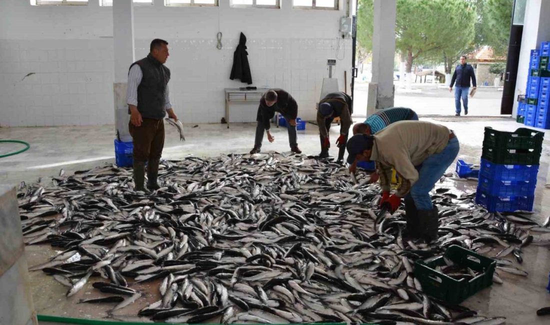 Muğla, Ege Bölgesi’nin ihracatına önemli katkı sağlayan iller arasında yer