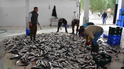 Muğla, Ege Bölgesi’nin ihracatına önemli katkı sağlayan iller arasında yer