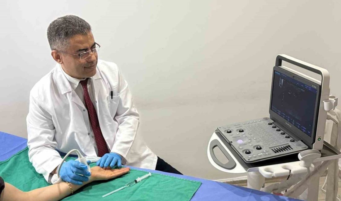 Fiziksel Tıp ve Rehabilitasyon Uzmanı Prof. Dr. İrfan Koca, geleneksel