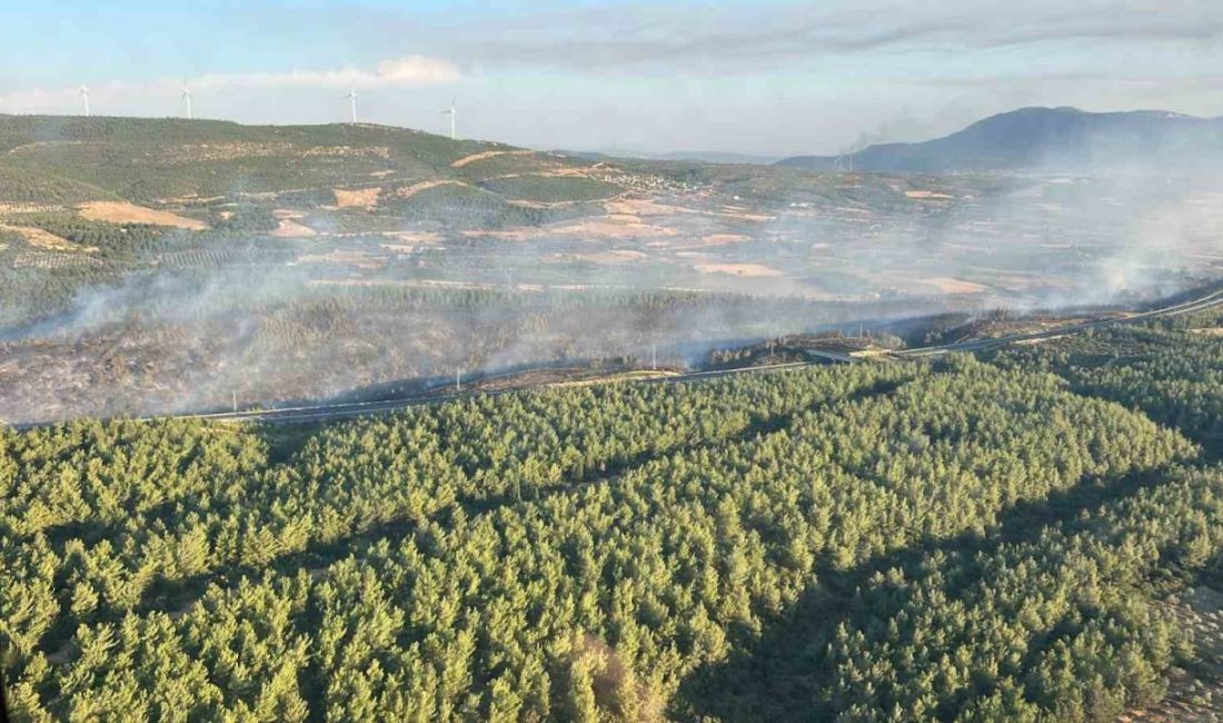 Manisa’nın Soma ilçesinde ormanlık alanda çıkan yangın, ekiplerin havadan ve