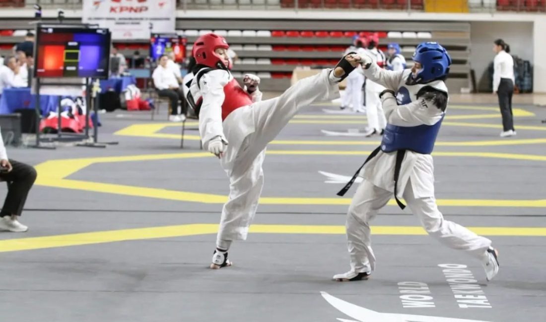 Taekwondo Doğu Grubu Müsabakaları, 40 ilden yaklaşık 600 sporcu, antrenör