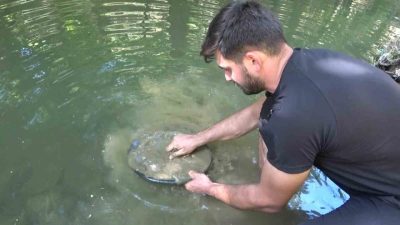 Bursa’da çocukluk merakıyla başladığı doğada altın arama işini profesyonel mesleğe